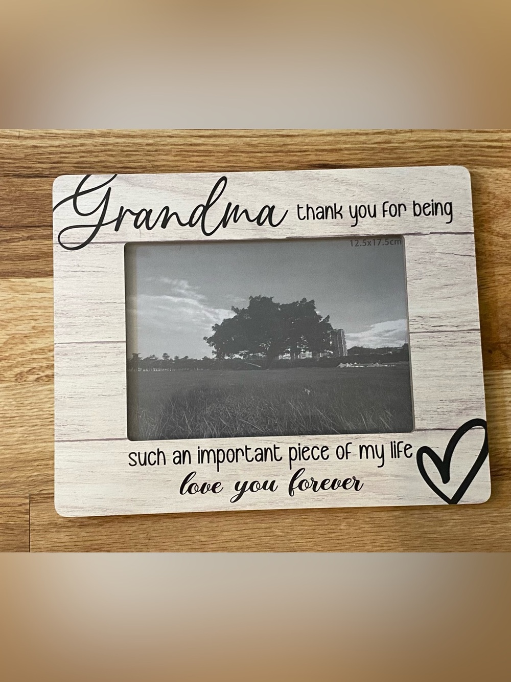 Ochkorea Grandma Sentimental Picture Frame Brown NWT